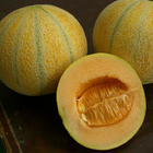 Hybrid f1 10g sweet melon seeds spanspek muskmelon seeds for sowing