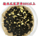 Cultivated eaten vegetable Luffa acutangula seeds with ridges