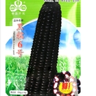 New hybrid maize Black Waxy Corn Seeds With Sweet Tastes 200g/Bag