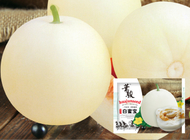 Round Biji Bibit Melon Honeydew Globe White Melon Madu seeds for sowing