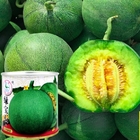 Providing Honey Dew Green Flesh melon seeds 20g with high sweetness