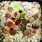 Colorful mixed colors New havested Lithops seeds succulent 100 seeds per bag