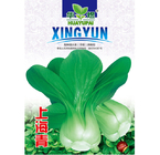 NON-GMO fast growing Bagged hybrid f1 bok choy seeds with green leaves