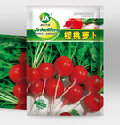 Bulk wholesale red cherry raddish seeds globe Raphanus sativus seeds for root vegetable sowing