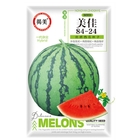 Early mature 8424 watermelon seeds f1 with disease-resistant High sweetness