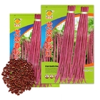 Hot resist anti virus long pod red cowpea seeds for vegetable sowing
