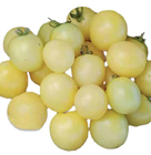 500 seeds f1 new white cherry tomato seeds for planting