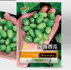 Sell 100pcs Melothria scabra seeds cucamelon Mexican miniature watermelon seeds for planting