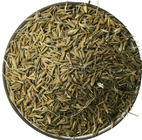 Pu gong ying pure Taraxacum mongolicum seeds 1000 grams for sale