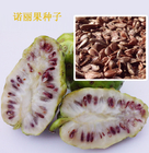 100g  Tropical natural Morinda citrifolia seed Noli seeds for sale