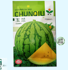 Early mature F1 fragile sweet green skin yellow meat watermelon seeds for planting