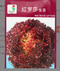 F1 hybrid dark red 10G/bag frilly loose leaf Lollo rosso lettuce seeds for planting