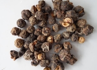 Phmllanthi Fructus Indian gooseberry Phyllanthus emblica Linn dried fruits herb medicine sulfate free Yu gan zi