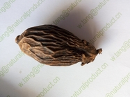Areca seed Areca catechu L dried fruits Semen Arecae for food and herb Bing lang