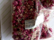 Gomphrena globosa L flower tea Qian ri hong
