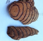Suberect spatholobus stem Caulis Spatholobi Spatholobus suberectus Dunn slices traditional herb Ji xue teng