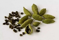 Eletteria cardamomum Maton seeds fruits Cardamom pods traditional herb spice Xiao Dou Kou