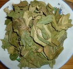 Australian Cowplan Gymnema sylvestre Retz Schult herb medicine sulfate free Wu xue teng