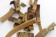 Fraxinus insularis Hemsl retusa bark herb medicine traditionally Qin bai pi