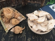 Maca Lepidium meyenii Walp dried root Peruvian ginseng maka Mhvaca Ma ka