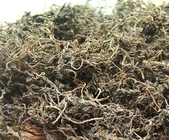 Herba Portulaca oleracea L wild whole planT dried Purslane organic traditional chinese herb Ma chi xian