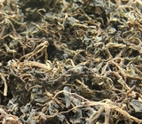 Herba Portulaca oleracea L wild whole planT dried Purslane organic traditional chinese herb Ma chi xian