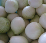 10g/bag Wholesale price round yellow white onion seeds hybrid f1 big red onion seed