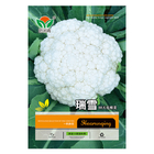 300PCS/bag white cauliflower seeds High grade Organic f1 hybrid cauliflower seeds