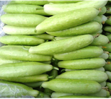 New hybrid f1 white cucumber seeds manufacturers short white small cucumber seed for planting