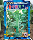 Chinese vegetable hybrid f1 brassica alboglabra bailey seed Chinese kale seeds for planting