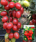 Sweet hybrid f1 Greenhouse non-gmo red cherry tomato seeds for planting
