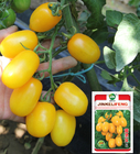 200pcs/bag Hybrid f1 yellow cherry tomato seeds high yeild yellow tomato seed for planting