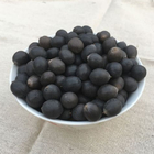 Wholesale price 1kg raw whole black lotus seed ripe bulk natural black lotus flower seeds for sale