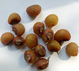 Top quality new dried Indian soapberry tree washnut seeds for planting