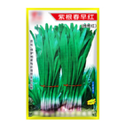 250g/bag Bulk edible vegetable Allium tuberosum GARLIC CHIVES SEEDS for plant