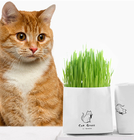 150g/bag high germination new cat grass seeds wheatgrass seed for cats eating