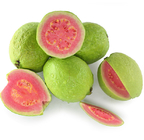 Premium high germination guava seeds Taiwan Guavas seeds for sale