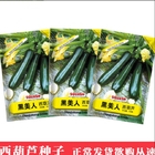 Dark green color Summer squash marrow Zucchini seeds for planting