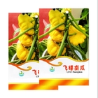 Feature vegetable species flying saucer Pattypan squash seeds for planting