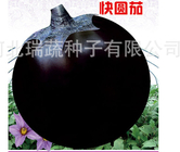 3g Wholesale early mature purple round hybrid eggplant seeds for vegetable planting