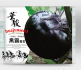 Non-gmo china high yeild black Solanum melongena Ronde de Valence seeds