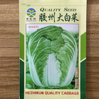10g Non-gmo Green leaf vegetable Pekinensis chinese Cabbage seeds for grow