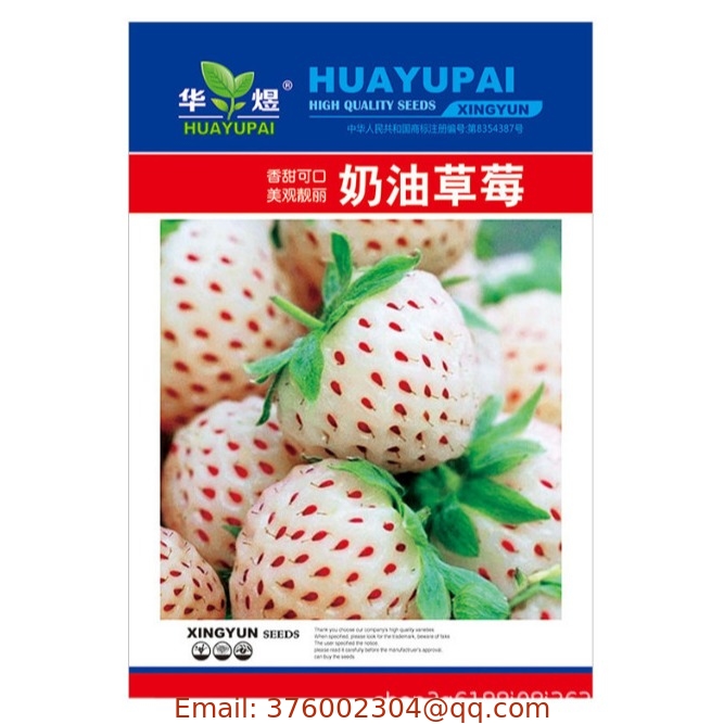 Cultivated hybrid f1 vegetable White Strawberries seeds for sowing