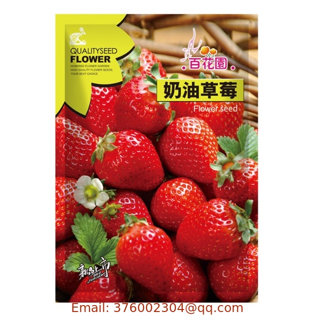 Fruit vegetable Big red strawberry seeds Fragaria ananassa seeds for planting