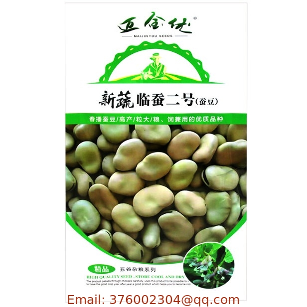 Crop seed broad bean seeds high yeild faba bean for farmland planting
