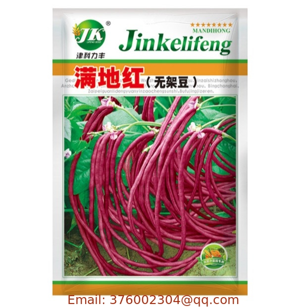 Red purple long beans Vigna unguiculata seeds for vegetables planting