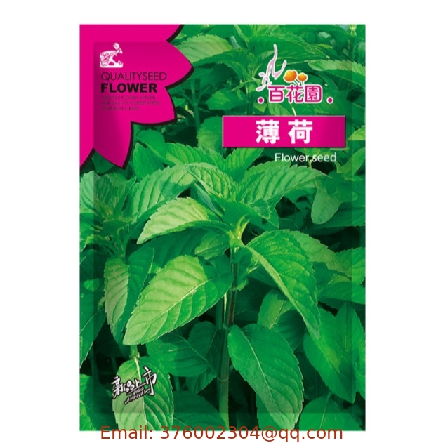 Aromatic herb Peppermint seeds 100pcs for sale