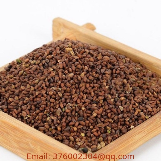 500g wholesale ripe Dame's rocket seeds Hesperis matronalis seeds for sowing