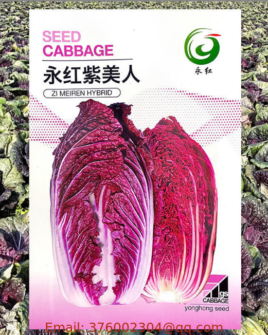50pcs/bag hybrid f1 Bai cai red purple chinese cabbage seeds for planting