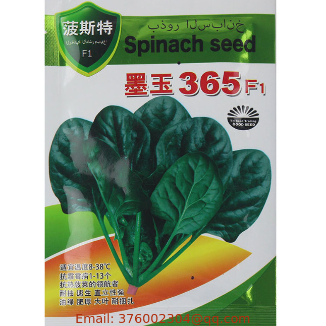 40g/ bag Spinach seeds green leaves vegetables spinacia oleracea seeds for sale
